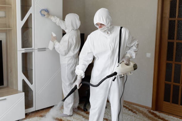 Certified Mold Removal in Hebron Estates, KY